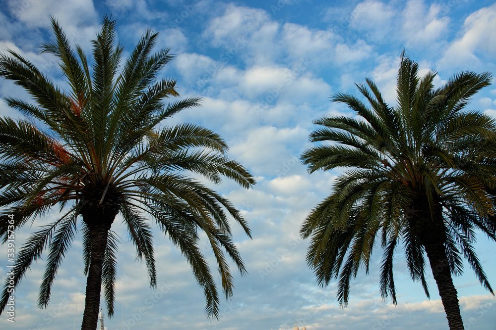 The city of Barcelona in Catalonia, Spain