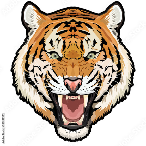 Roaring tiger head colored vector animal illustration