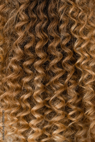 Closeup view vertical photography of amazing beautiful curly female long hairstyle made in professional beauty spa salon.