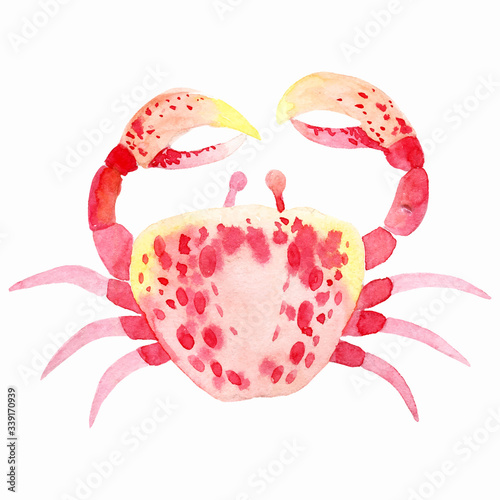 watercolor crab on a white background, vector illustration