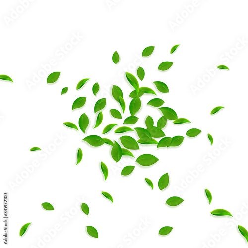 Falling green leaves. Fresh tea chaotic leaves fly