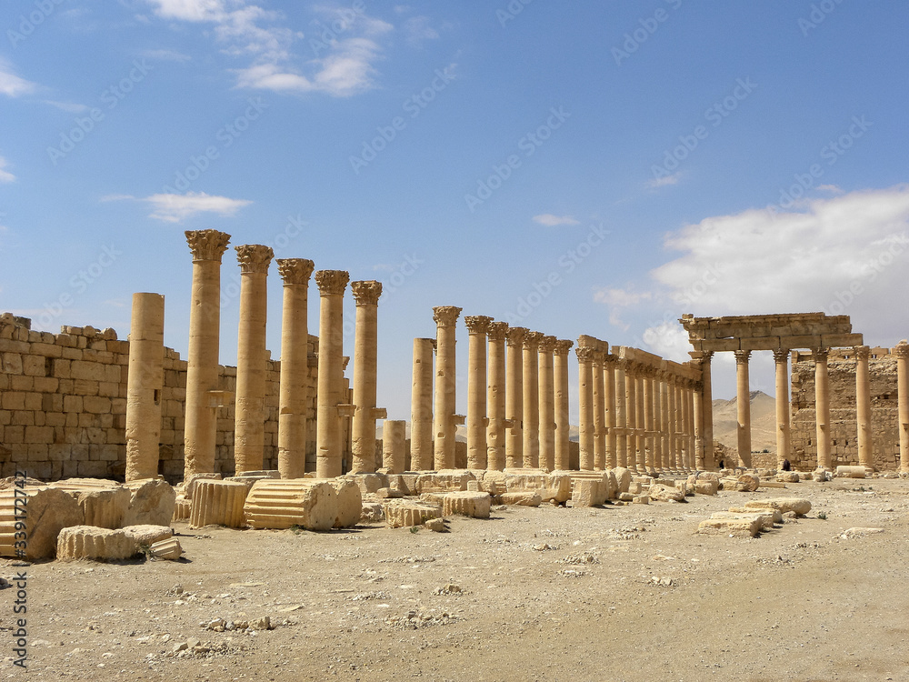 Fototapeta premium Rovine di Palmira