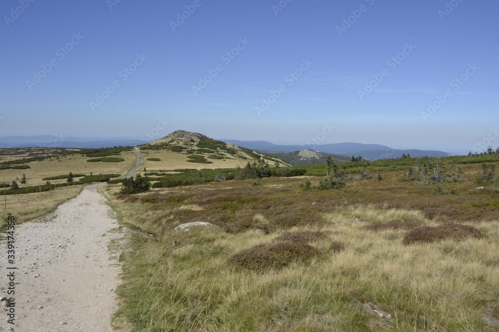 mountain stone path through mountain meadow