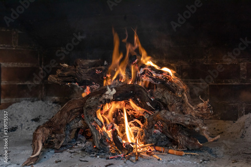 Fiery background, firewood, traditional cuisine