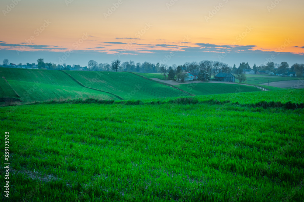 sunset over the field