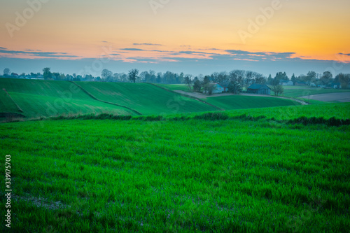 sunset over the field