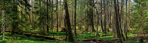 Panorama Landschaftsschutzgebiet