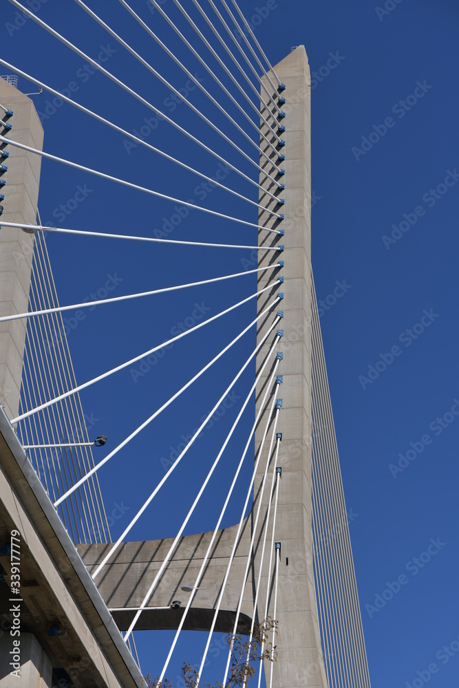 Obraz premium Vasco da Gama Bridge