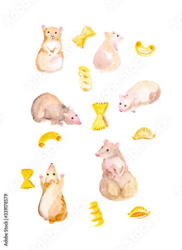 set of hamsters  mice  pasta  can be used on as a print on fabric  on a t-shirt  print decor  postcards  blackboards  web