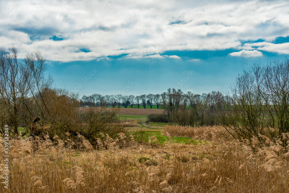 April 2020- Springtime at Berlins Tegeler Fliess April 2020- Springtime at Berlins Tegeler Fliess