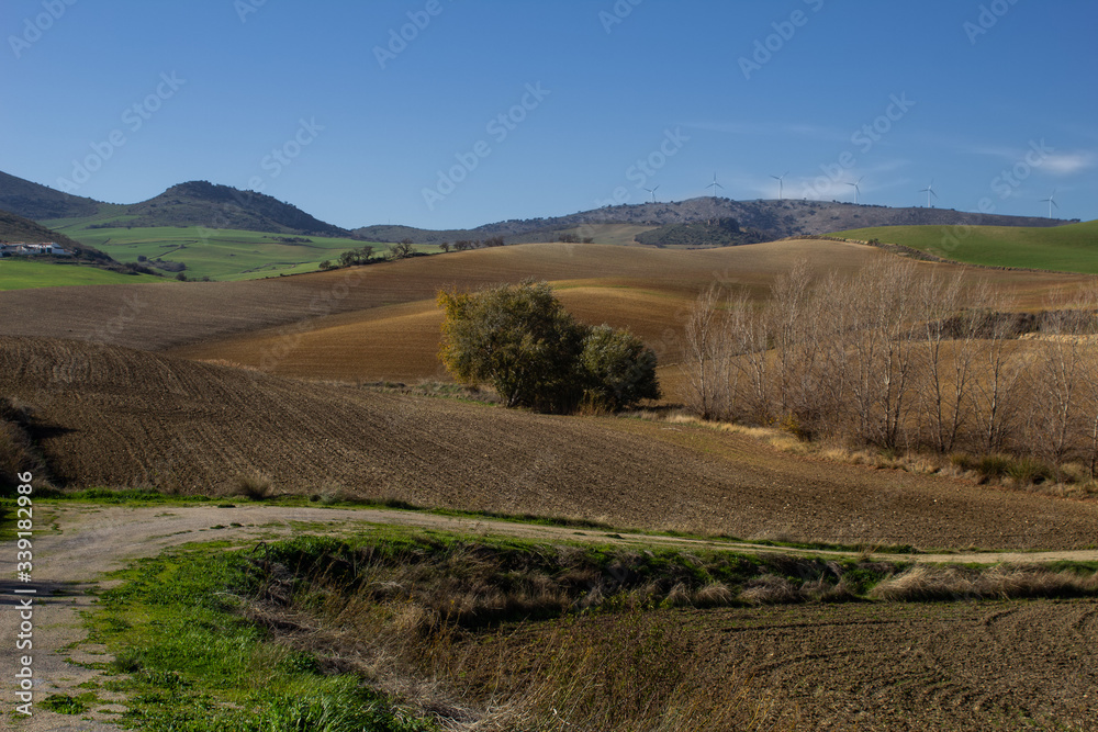 colorful panoramas of the Andalusian countryside