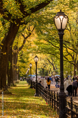 THE MALL, CENTRAL PARK, NEW YORK, USA-OCT, 26: People walking down through the Mall in the Park, October, 26, 2019. photo