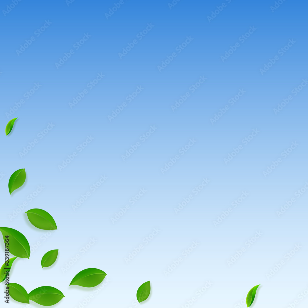 Falling green leaves. Fresh tea chaotic leaves fly Falling green leaves. Fresh tea chaotic leaves fly