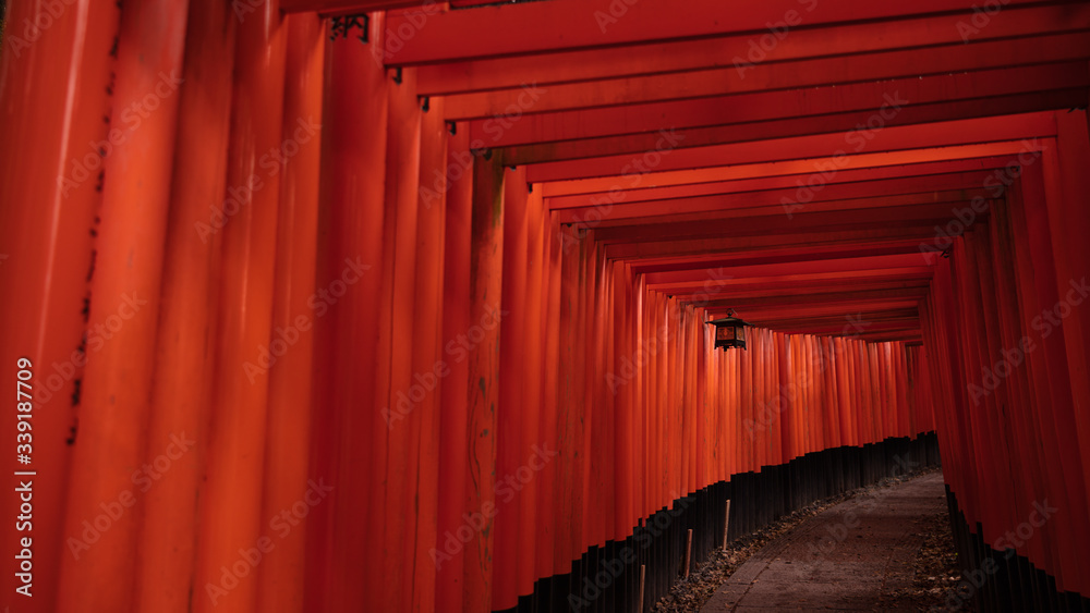 Fototapeta premium 京都府 伏見稲荷大社 千本鳥居 雨