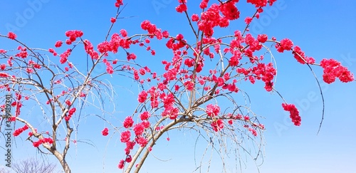 red and blue sky