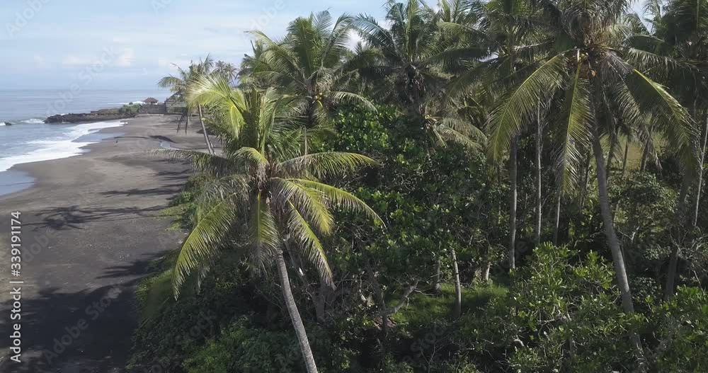 Aerial view of palms at the beach, Kedungu beach, Bali, Indonesia Aerial view of palms at the beach, Kedungu beach, Bali, Indonesia