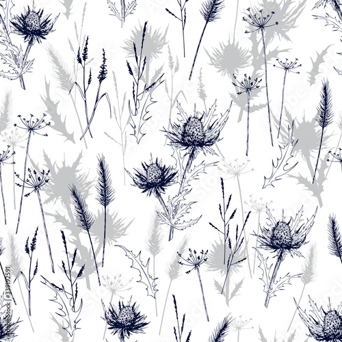 Schilderij op canvas Seamless pattern with meadow wild herbs and blue thistle flowers.