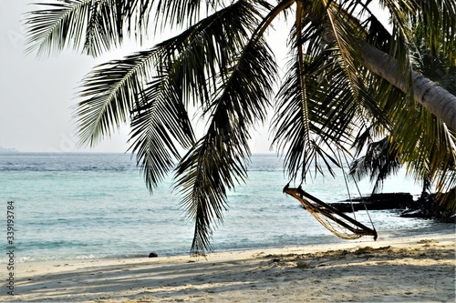 Maldives, beautiful view of hammock hanging on the palm tree