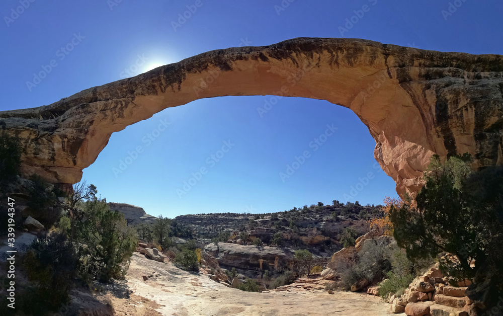 Arch in the Natural Bridges National Monument USA