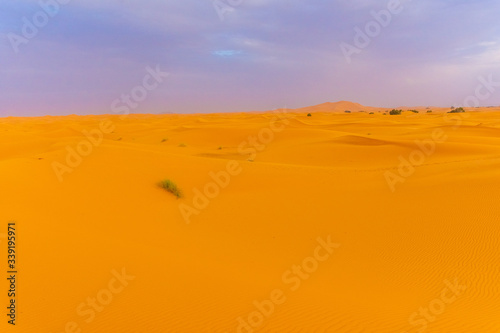 Beautiful landscape of the dunes of the Sahara Desert at dusk, Merzouga, morocco