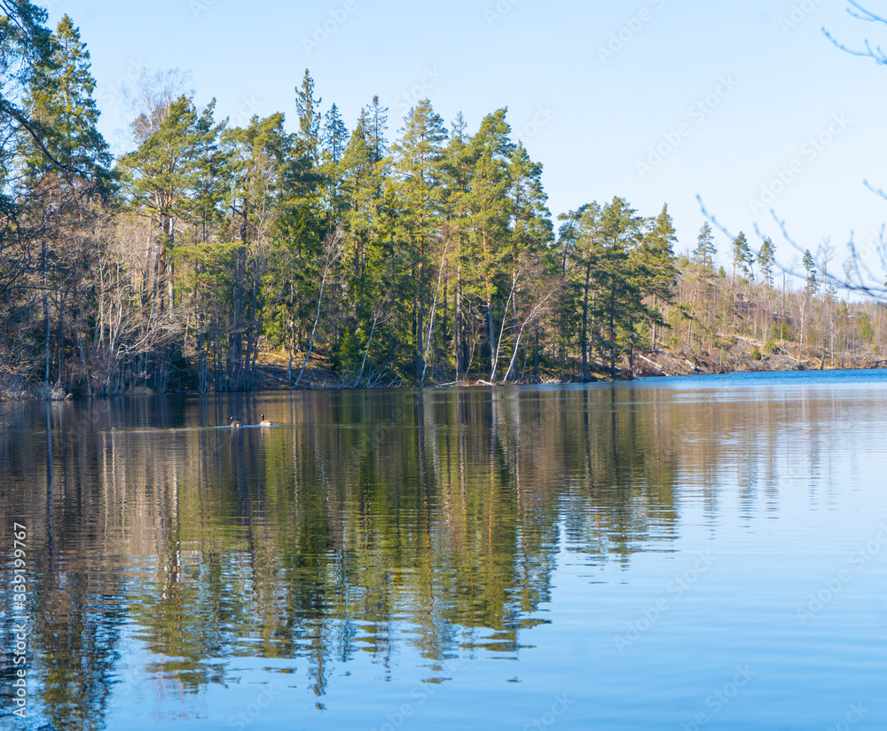 The lake in the Swedish forest. Photo of Scandinavian nature. Woods in north Europe.