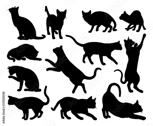 A cat silhouettes pet animals graphics set photo