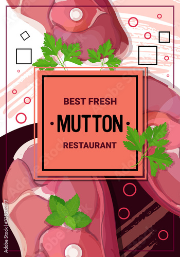 fresh mutton steak with parsley spices raw meat restaurant template ingredients for cooking vertical vector illustration