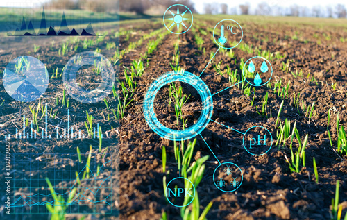 analysis and processing of data on plant growth in the field. Scheduling and regulation of production to increase harvest. Field sensors and virtual reality to help the farmer