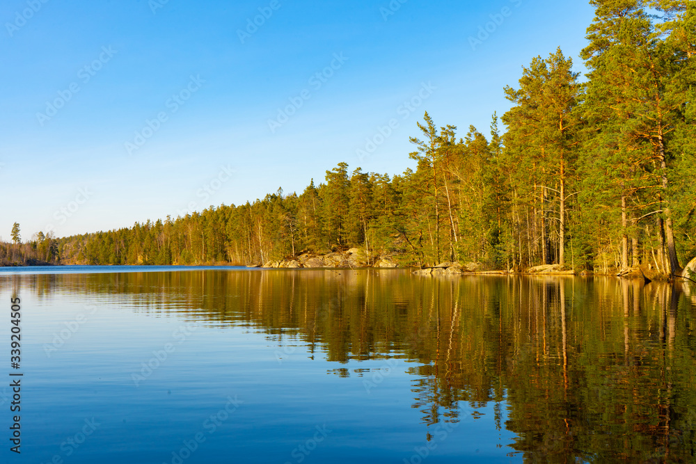 The lake in the Swedish forest. Photo of Scandinavian nature. Woods in north Europe.