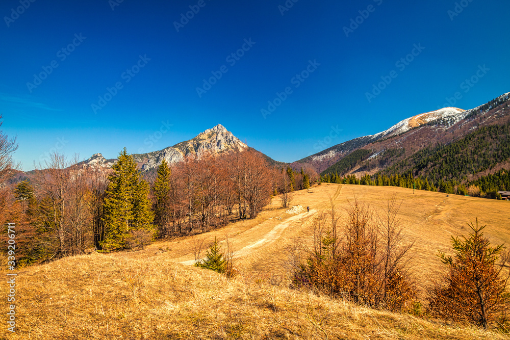 Fototapeta premium Landscape with mountains springtime. The Mala Fatra National Park, near the village of Terchova in Slovakia, Europe.