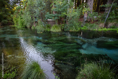 The Crystal Clear Waters of Hamurana Springs, New Zealand photo