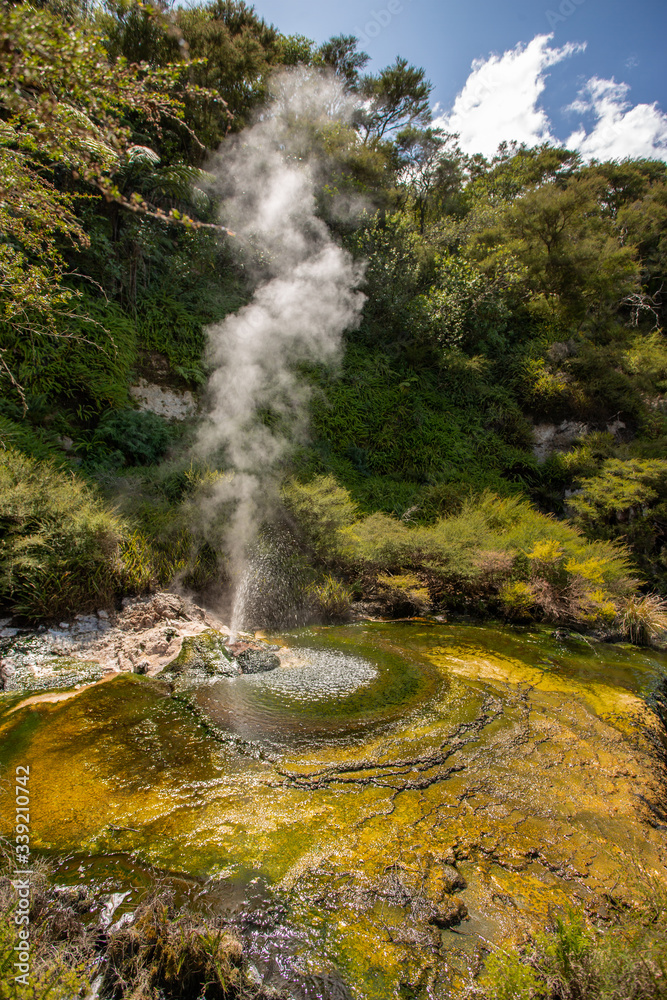 Waimangu Volcanic Valley, New Zealand