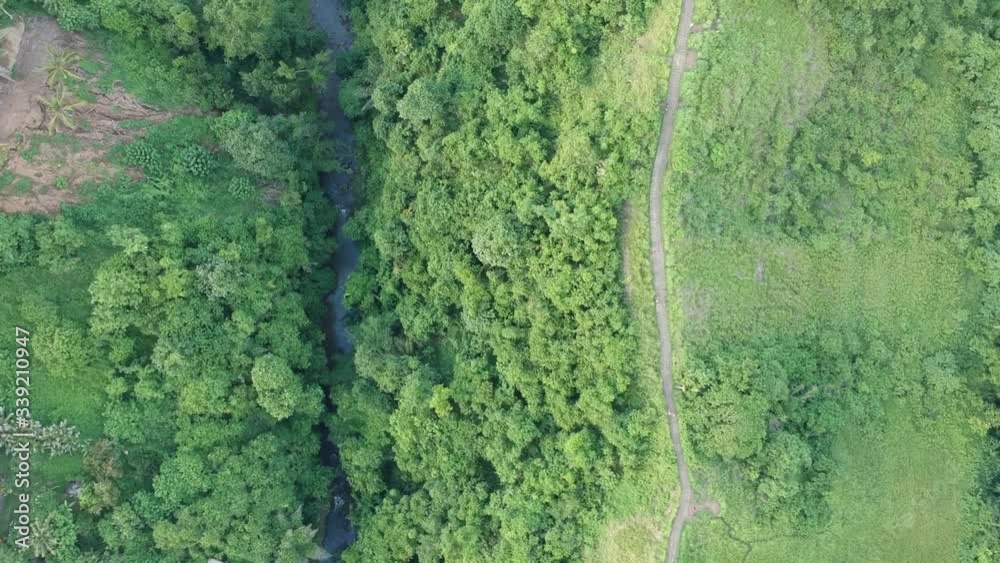 the drone flies along the artists' road and shoots vertically down in cloudy weather, there are visible thickets of palm trees, a river, and small figures of people walking along the road the drone flies along the artists' road and shoots vertically down in cloudy weather, there are visible thickets of palm trees, a river, and small figures of people walking along the road
