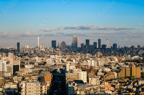 東京 街並み 練馬区役所 展望ロビーから 池袋方面
