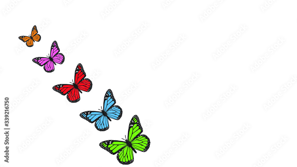 Naklejka premium butterfly on a white background from small to large