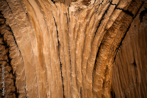 Full Frame Shot Of Tree Bark