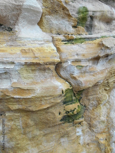 rock and moss