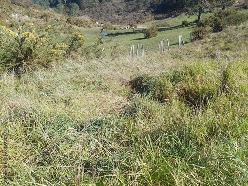 path in the mountains