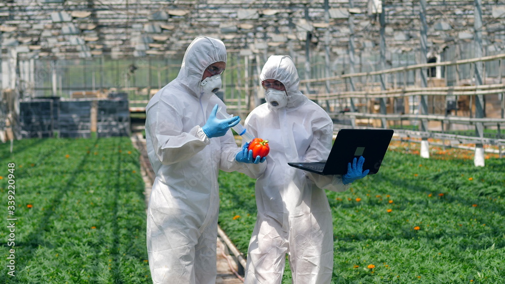 Two scientists are pumping vegetables with chemicals Two scientists are pumping vegetables with chemicals