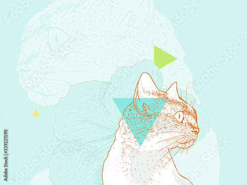 Tense looking cat. Detailed illustration, hand drawn, richly textured. 