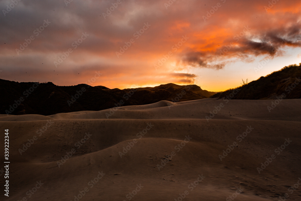 View of the sand dunes near Wharariki Beach at Nelson, New Zealand