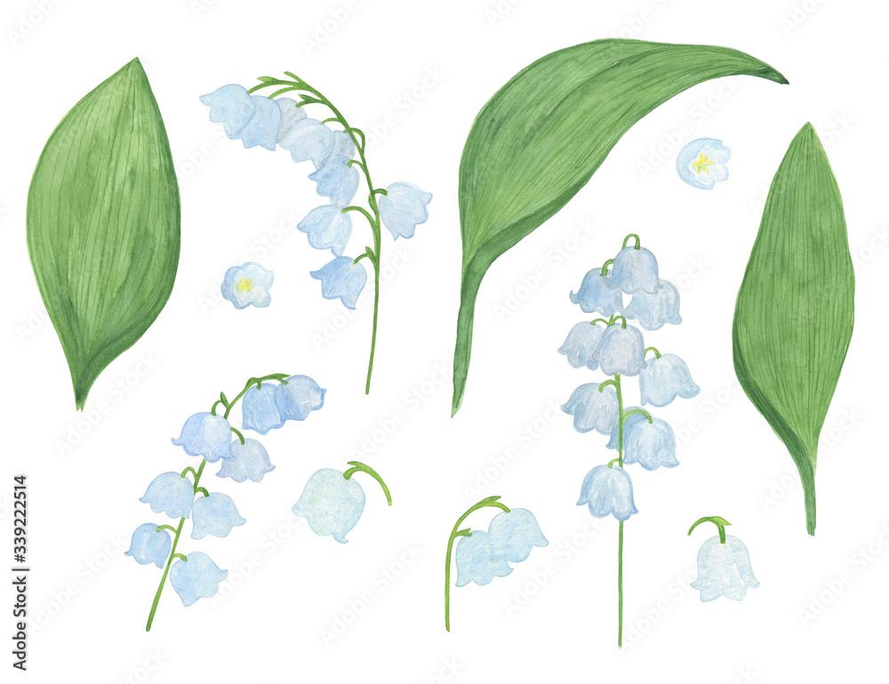 Watercolor lily-of-the-valley flowers set, symbol of spring and happiness hand drawn white plants illustration for greeting cards, invitations, textile
