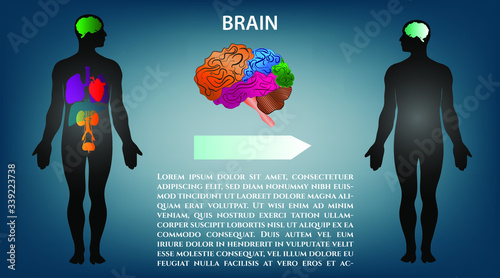 Medical illustration of organ disease. Vector medical infographics.