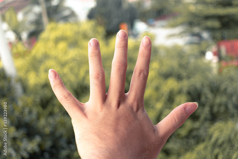 Picture of Fingers or Hand Picture of Fingers or Hand