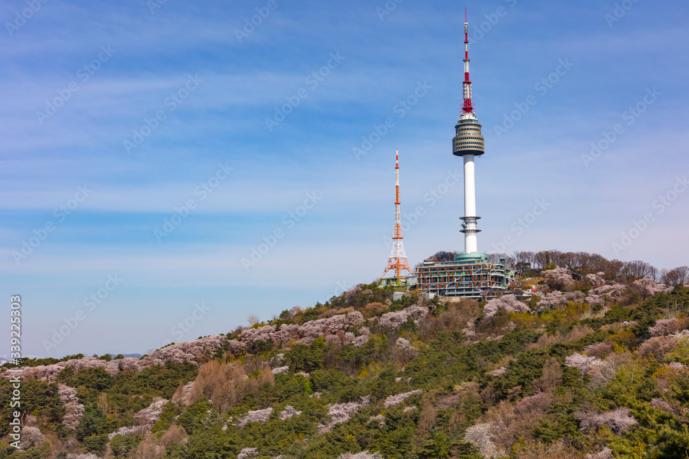 Spring Time and cherry blossom in Spring with Seoul Tower Seoul South Korea