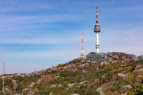 Photography Spring Time and cherry blossom in Spring with Seoul Tower Seoul South Korea