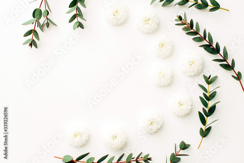 Eucalyptus branches and white flowers, top view flat lay
