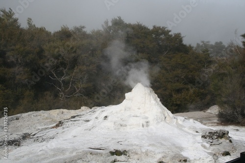 geyser in park national park