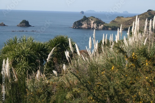 view from the beach