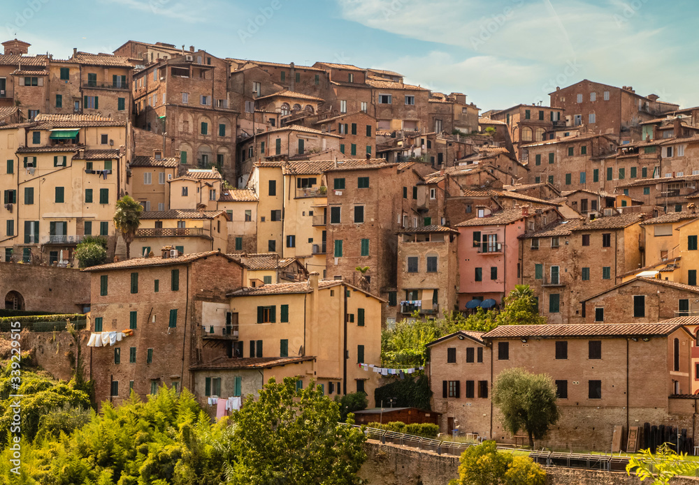 Hillside Cityscape, Siena, Italy
